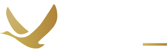 GNG Global logo